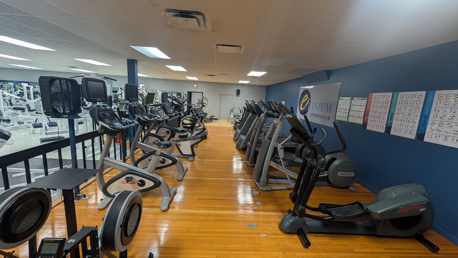 Upgraded cardio area at Elysium Fitness Club: bikes, rowers and ellipticals along a wood floor / Zone cardio rénovée : vélos, rameurs et elliptiques
